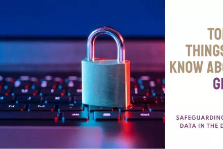 Top 10 Things You Need to Know about GDPR Safeguarding Data