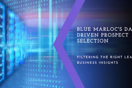 Data-Driven Prospect Selection How Blue Marloc's Insights Filter the Right Leads